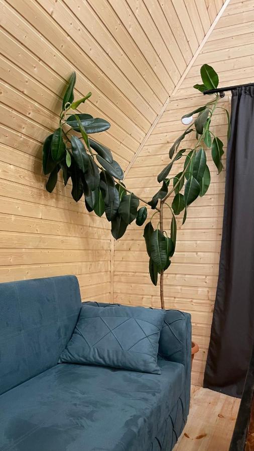 Apartament Kazbegi Compass Zewnętrze zdjęcie